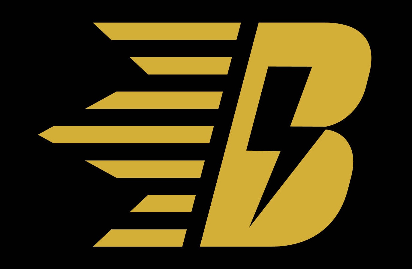 Bikekönig — Icon